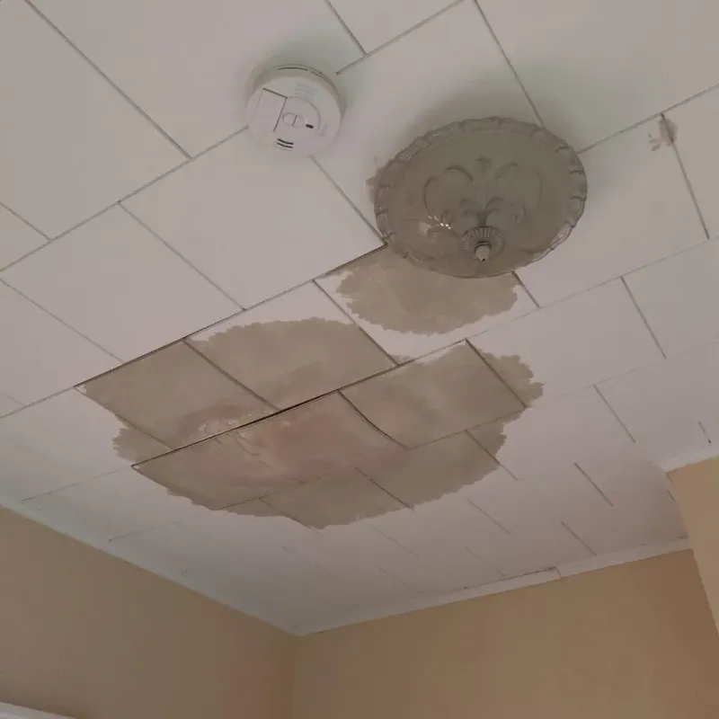 Ceiling Water Damage Repair in Pottsville, AR