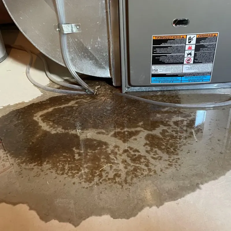 Pipe Burst and Leak Restoration in Pottsville, AR