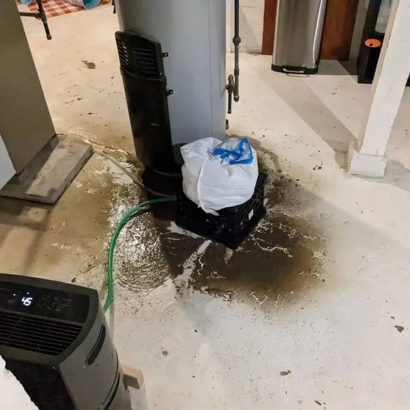Sewage Backup Cleanup Service in Pottsville, AR